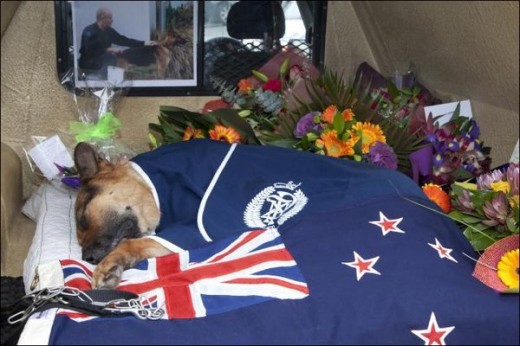 Gage dog farewelled