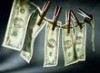 Подмосковная фирма незаконно вывела в Новую Зеландию 18 миллионов долларов
