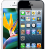 iPhone 5 будет в Новой Зеландии через 2 недели