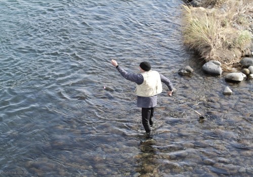Trout fishing in Tutangi