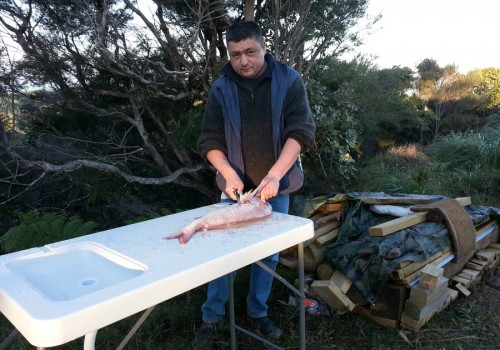 2013_09_10_new-zealand-fishing